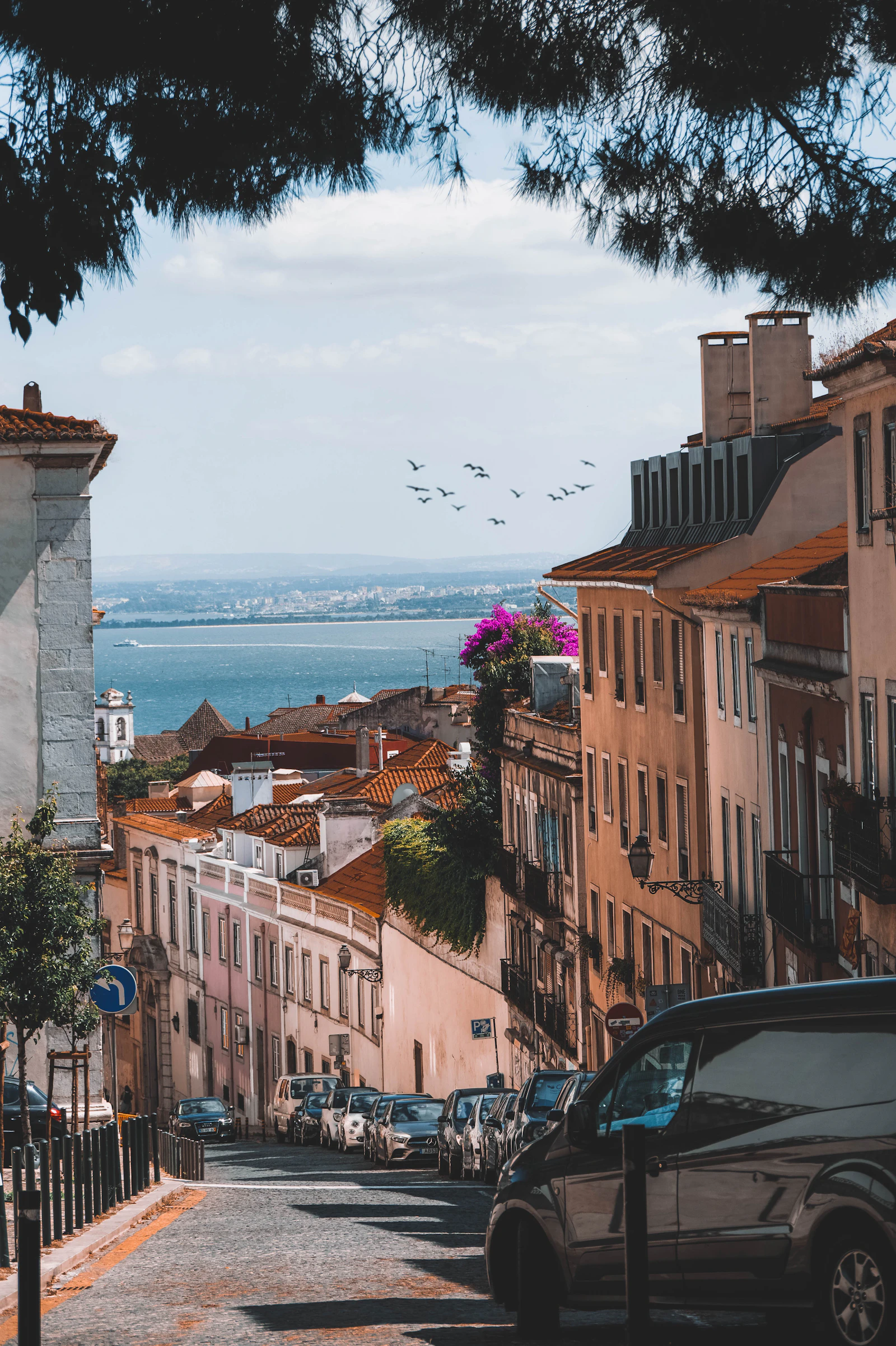 Lisbon Photo Album preview