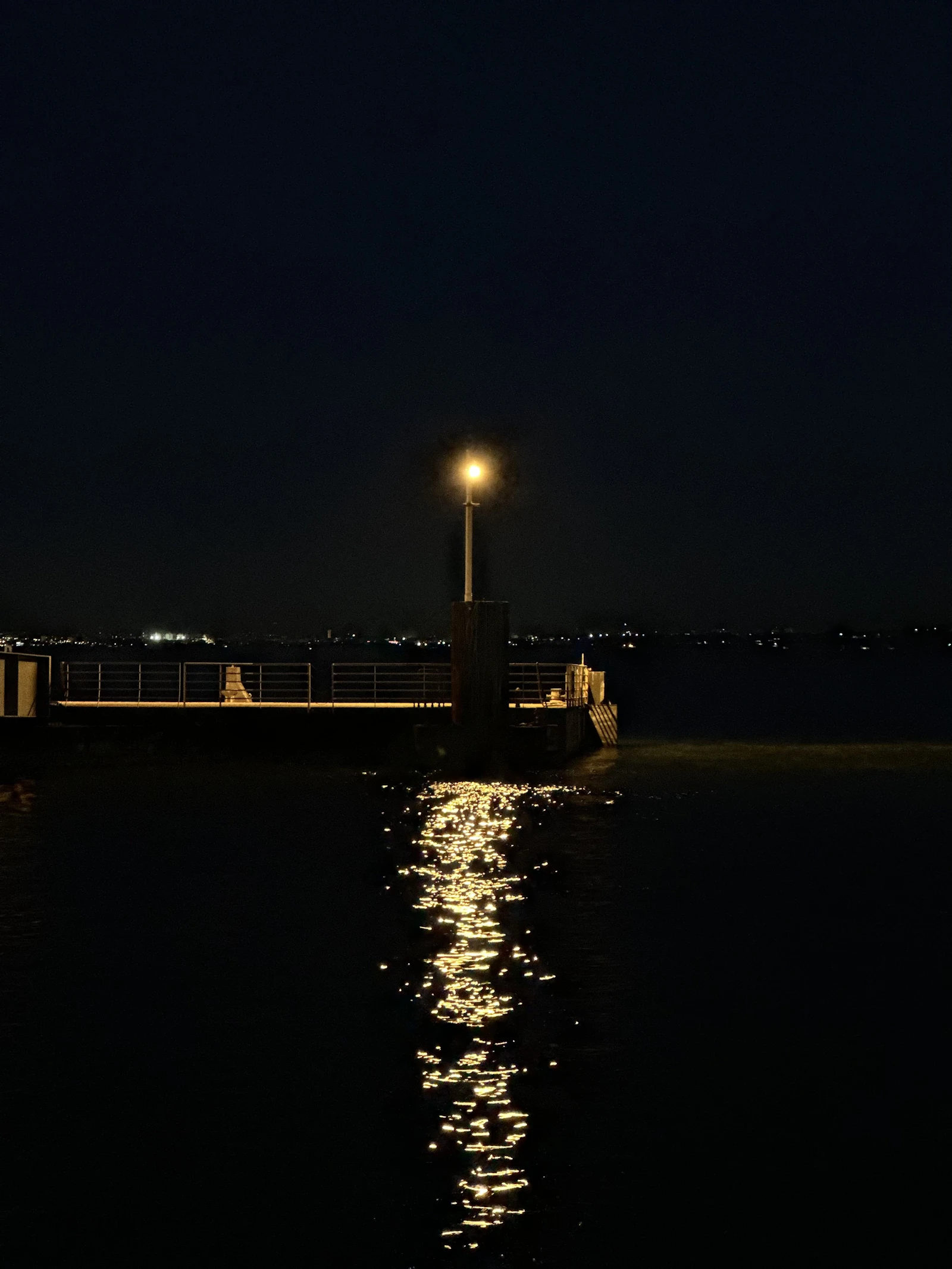 Tagus riverside promenade at night with reflections on wet pavement
