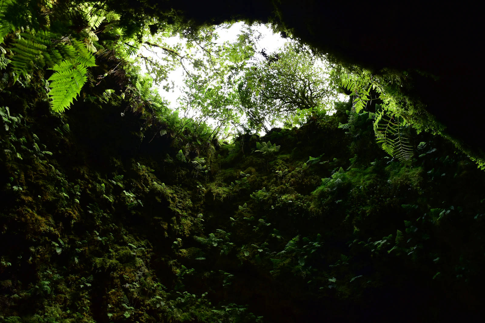 Moss-covered stone grotto with dripping water in Sintra gardens